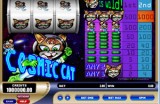 Cosmic cat
