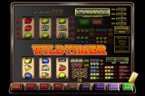 Wild Timer
